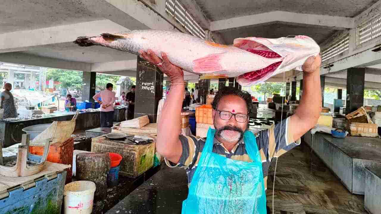 Pandugappa Fish: వలకు చిక్కిన భారీ పండుగప్ప.. ఎంత ధర పలికిందంటే..?