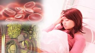 Hair Care: తల దురదతో ఇబ్బందులు ఎదుర్కుంటున్నారా.. ఈ చిట్కాలు పాటించి చూడండి!