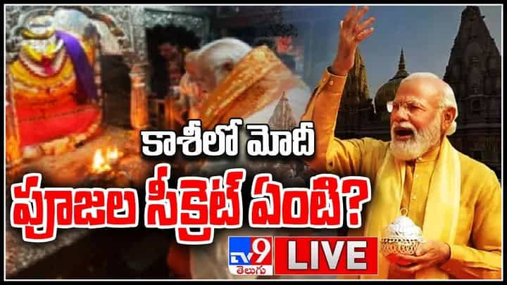 PM Modi Kashi Tour: కాశీలో మోదీ పూజల సీక్రెట్ ఏంటి..? కాశీ విశ్వనాథ్ కారిడార్ను ప్రారంభించిన మోడీ.. (వీడియో) PM Modi Kashi Tour: కాశీలో మోదీ పూజల సీక్రెట్ ఏంటి..? కాశీ విశ్వనాథ్ కారిడార్ను ప్రారంభించిన మోడీ.. (వీడియో)