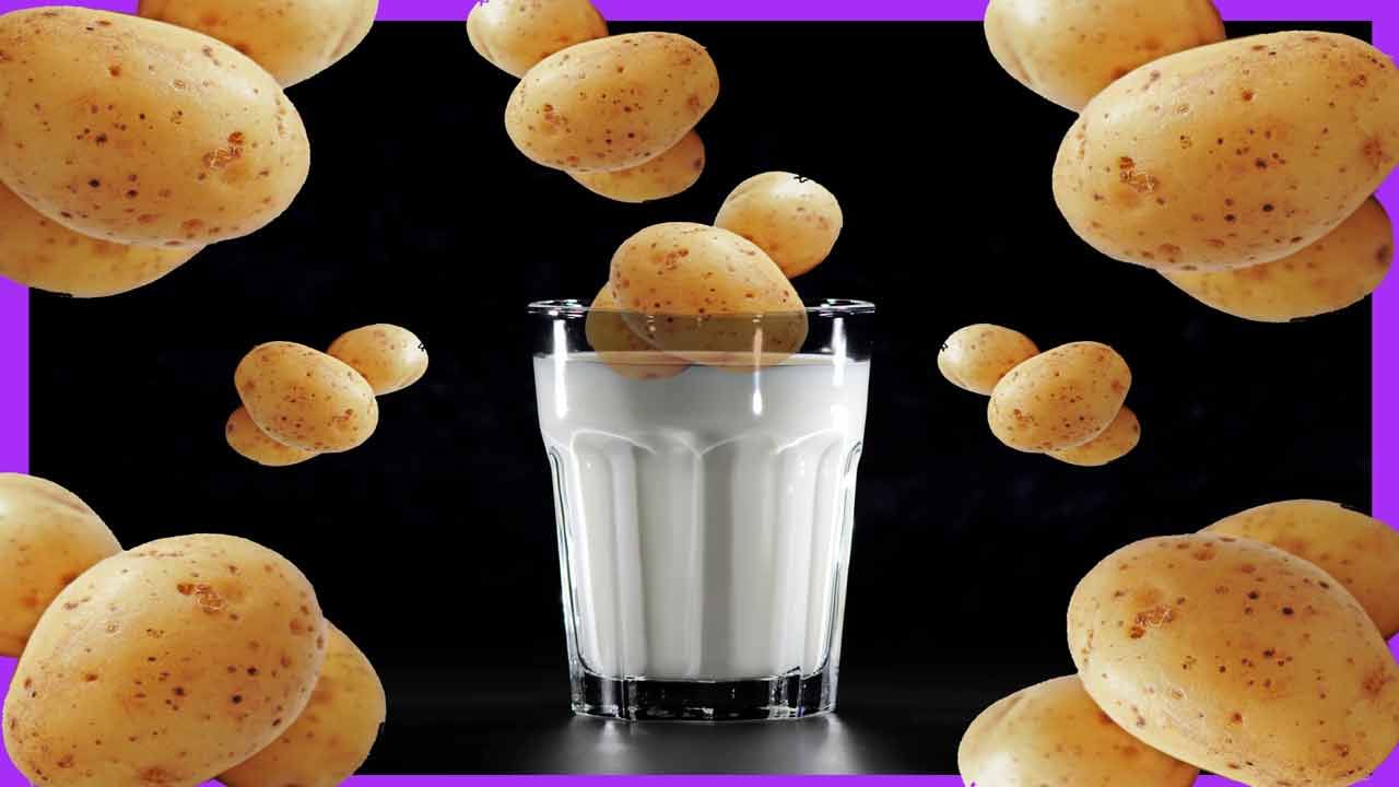 Potato Milk: మీకు ఈ సంగతి తెలుసా.. ఆలు పాలు తాగితే సాధారణ పాల రుచిని మరచిపోతారు..