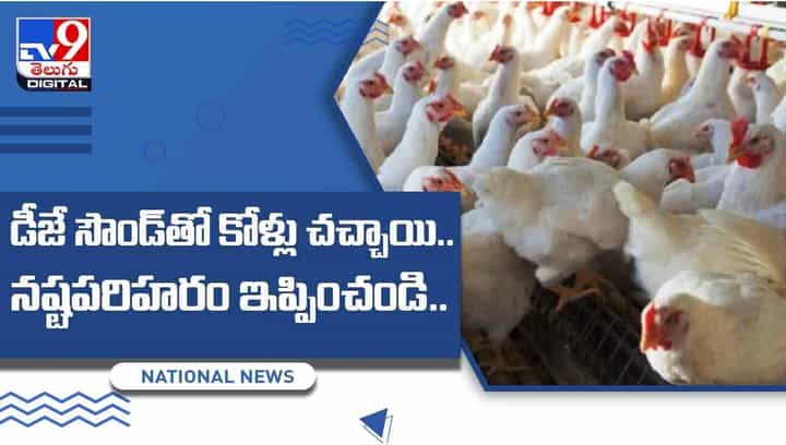 డీజే సౌండ్తో కోళ్లు చచ్చాయి !! నష్టపరిహరం ఇప్పించండి.. వీడియో డీజే సౌండ్తో కోళ్లు చచ్చాయి !! నష్టపరిహరం ఇప్పించండి.. వీడియో
