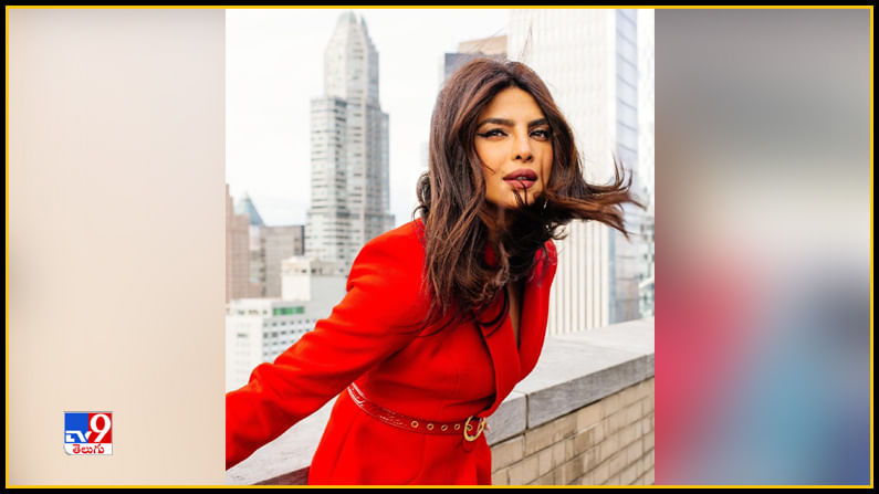 Priyanka Chopra New Photos. Credit by:Priyanka Chopra/Instagram