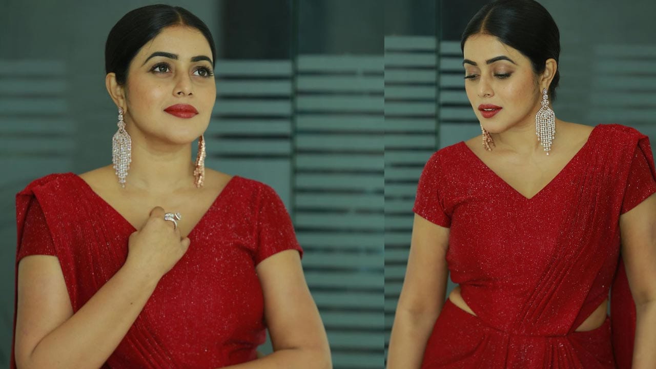 క్యారెక్టర్ ఆర్టిస్ట్ గానే కాకుండా లేడీ విలన్ పాత్రలో కూడా నటించి మెప్పించడానికి రెడీ అవుతుంది ఈ అందాల భామ 