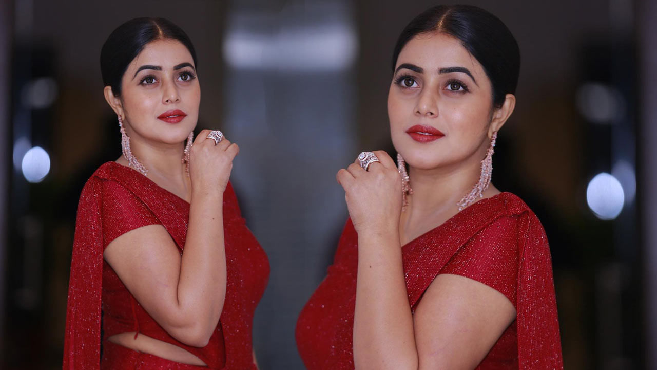 రాజ్ తరుణ్ నటించిన ప్లే బ్యాక్ సినిమాలో నెగిటివ్ పాత్రలో నటించి ఆకట్టుకుంది ఈ ముద్దుగుమ్మ 