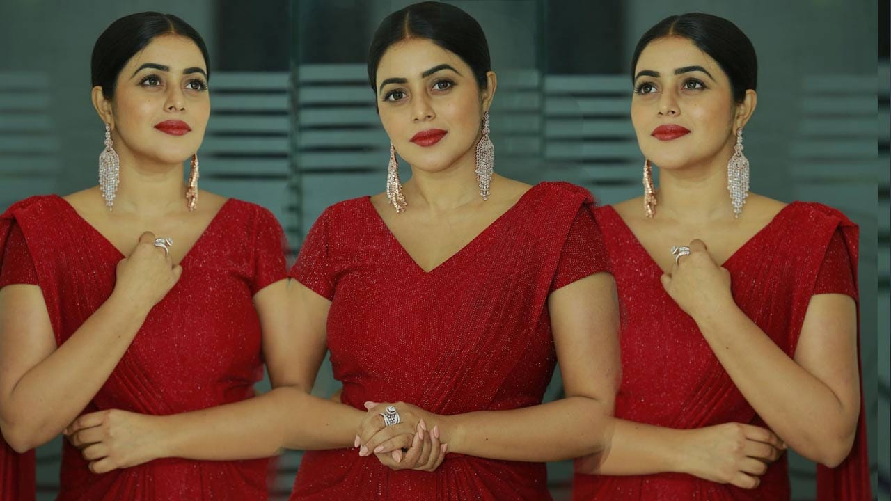 హీరోయిన్ గా రాణించిన పూర్ణ ఇప్పుడు క్యారెక్టర్ ఆర్టిస్ట్ గా నటిస్తూ మెప్పిస్తున్నారు.