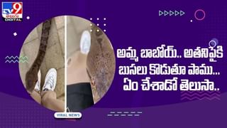 Viral Photo: ఈ ఫోటోలోని చిన్నారి.. ఇప్పుడు హీరోయిన్‌గా తెలుగు, తమిళ్‌లో దూసుకుపోతుంది… గుర్తుపట్టారా..?