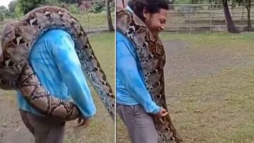 Viral Video: వీడు మామూలోడు కాదు.. భారీ కొండచిలువను భూజాలపై ఎత్తుకొని ఏం ...