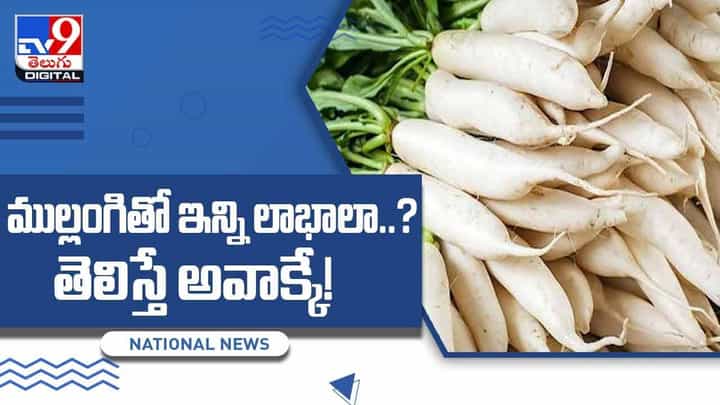Radish: ముల్లంగితో ఇన్ని లాభాలా ?? తెలిస్తే అవాక్కే !! వీడియో Radish: ముల్లంగితో ఇన్ని లాభాలా ?? తెలిస్తే అవాక్కే !! వీడియో