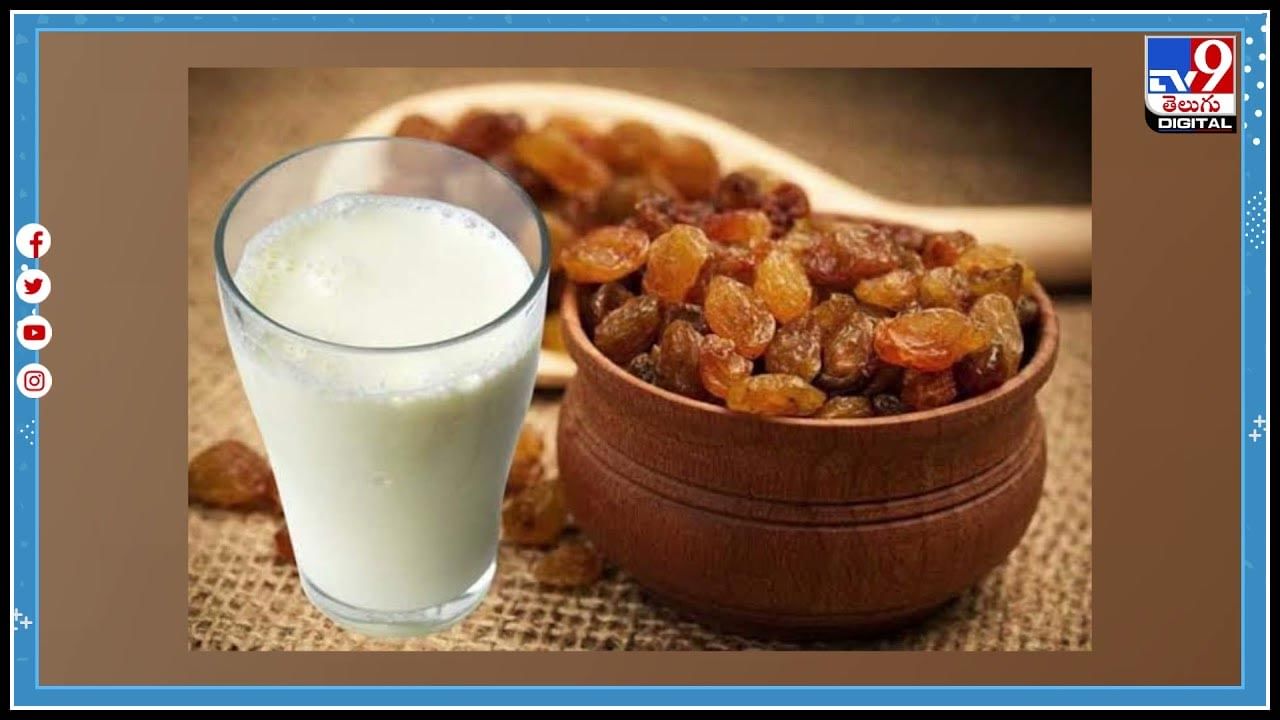 Raisins with Milk: ఈ పాలు ఆరోగ్యానికి ఎంత మంచివో తెలుసా.. రోజూ ఇలాగే తాగుతారు..!(వీడియో)
