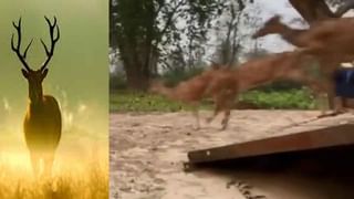 Eco Friendly: వ్యర్ధాలకు అర్ధం కల్పిస్తూ.. వరిపొట్టుతో గ్లాసులు, ప్లేట్లు తయారు చేస్తున్న యువకుడు.. వీడియో వైరల్…