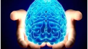 Research on Brain: రాకెట్ సైన్స్ శాస్త్రవేత్తల బ్రెయిన్ షార్ప్‌గా ఉంటుందా? మామూలు మనిషి మెదడా? పరిశోధకులు ఏమంటున్నారు?