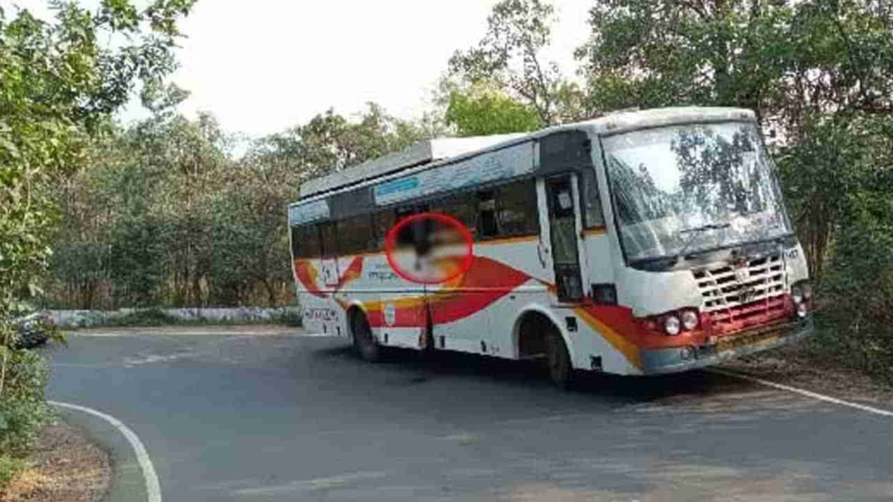 Road Accident: ఘాట్ అందాలు చూస్తుండగా పోయిన ప్రాణం.. శ్రీశైలం రోడ్లో యువతి మృతి