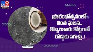 Viral Video: నాన్ వెజ్ అంటే నో అంటున్న పిల్లి.. షాక్ అవుతున్న నెటిజన్లు.. వీడియో వైరల్