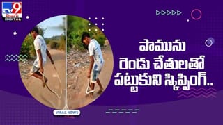 వీధి కుక్కలకు తిండి పెట్టినందుకు మహిళకు రూ. 8 లక్షల ఫైన్ !! వీడియో