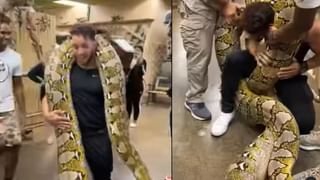 UP Elections 2022: ఉత్తరప్రదేశ్‌ ఎన్నికల ర్యాలీలో అపశృతి.. కూప్పకూలిన కిసాన్ దివస్ వేదిక..!