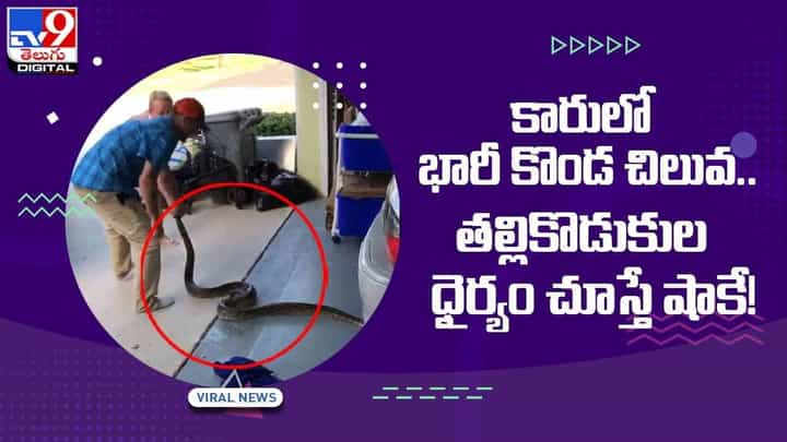Viral Video: కారులో భారీ కొండ చిలువ !! తల్లికొడుకుల ధైర్యం చూస్తే షాకే !! వీడియో Viral Video: కారులో భారీ కొండ చిలువ !! తల్లికొడుకుల ధైర్యం చూస్తే షాకే !! వీడియో