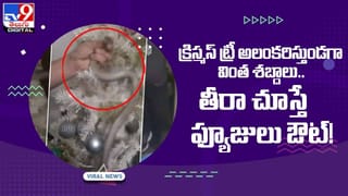 బంగారంతో బర్గర్‌ !!  ఫ్రీగా టేస్ట్‌ చేయొచ్చట !! ఎక్కడో తెలుసా ?? వీడియో