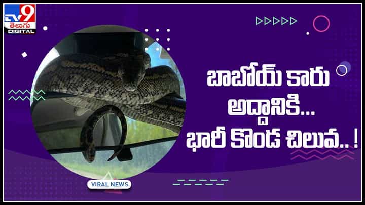 snake on mirror: బాబోయ్ కారు అద్దానికి భారీ కొండ చిలువ.. ! వైరల్ అవుతున్న వీడియో.. snake on mirror: బాబోయ్ కారు అద్దానికి భారీ కొండ చిలువ.. ! వైరల్ అవుతున్న వీడియో..