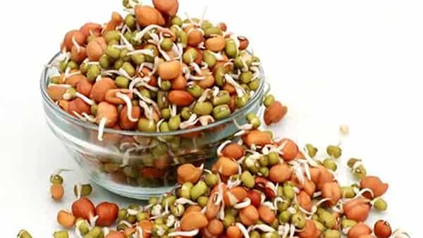 Winter Diet: ఖాళీ కడుపుతో మొలకెత్తిన విత్తనాలు తింటున్నారా ? అయితే జాగ్రత్త.. ఆరోగ్యానికి హానికరమట..