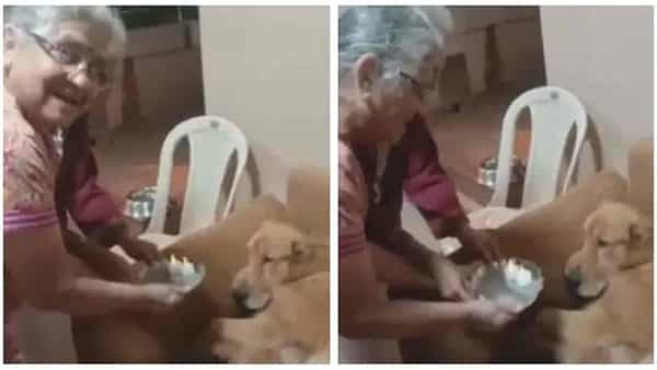 Sudha Murthy: పెంపుడు కుక్క గోపీ పుట్టినరోజు వేడుకను సంప్రదాయంగా నిర్వహించిన సుధామూర్తి.. వీడియో వైరల్