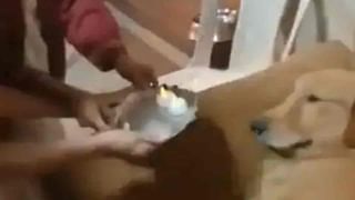 Diamond: రైతును వరించిన అదృష్టం.. తవ్వకాలు జరుపుతుండగా బయటపడిన వజ్రం..