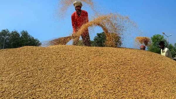 Telangana: మళ్లీ ఢిల్లీ చేరనున్న ధాన్యం కొనుగోలు పంచాయితీ.. కేంద్రాన్ని నిలదీయనున్న టీ.మంత్రులు