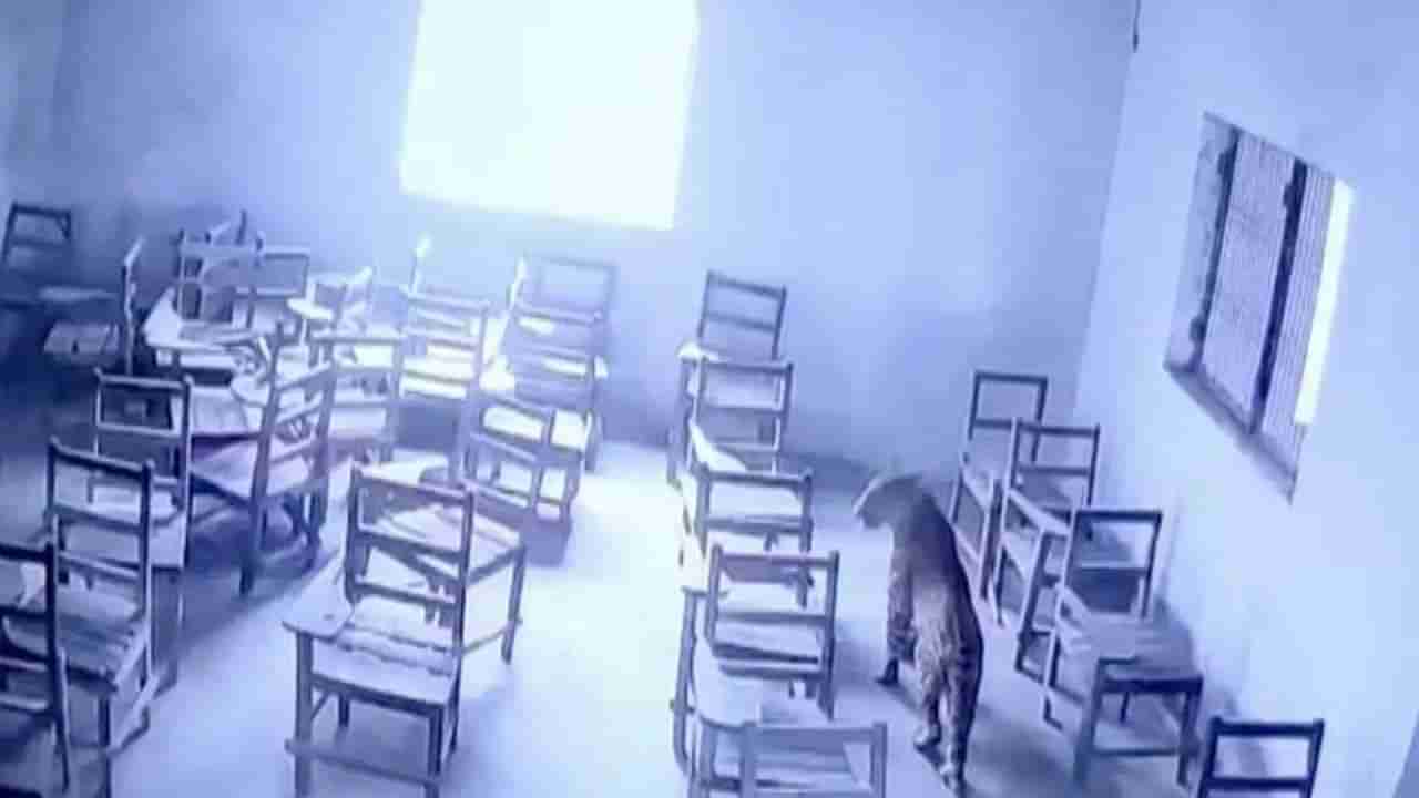 Leopard Attack: కాలేజీలో చిరుత పులి హల్చల్.. విద్యార్థిపై పంజా.. భయంతో క్యాంపస్లో తొక్కిసలాట..