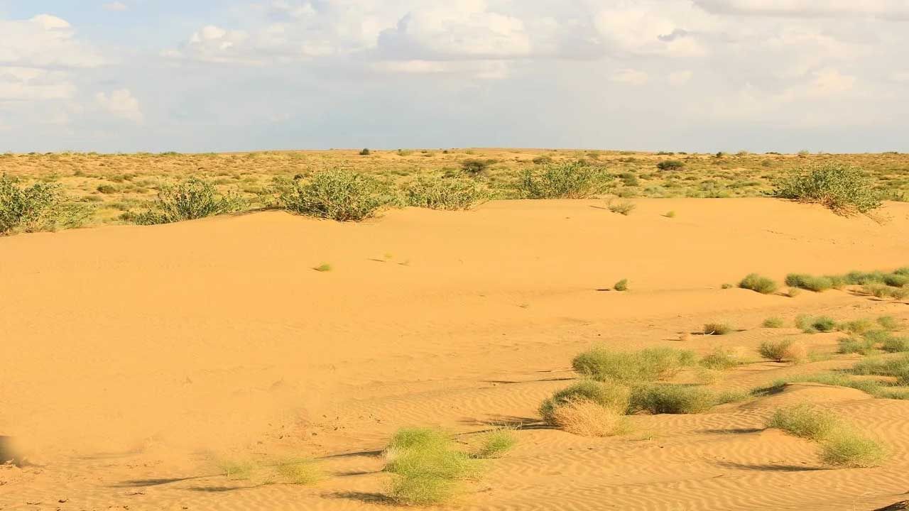 Thar Desert: విస్తరిస్తున్న థార్ ఎడారి.. ఢిల్లీకి పెరగనున్న ముప్పు: రాజస్థాన్‌ సెంట్రల్‌ యూనివర్సిటీ వెల్లడి
