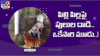 ట్రైన్‌లో విద్యార్థుల స్టంట్స్‌ !! సోషల్‌ మీడియాలో వీడియో వైరల్‌ !! వీడియో