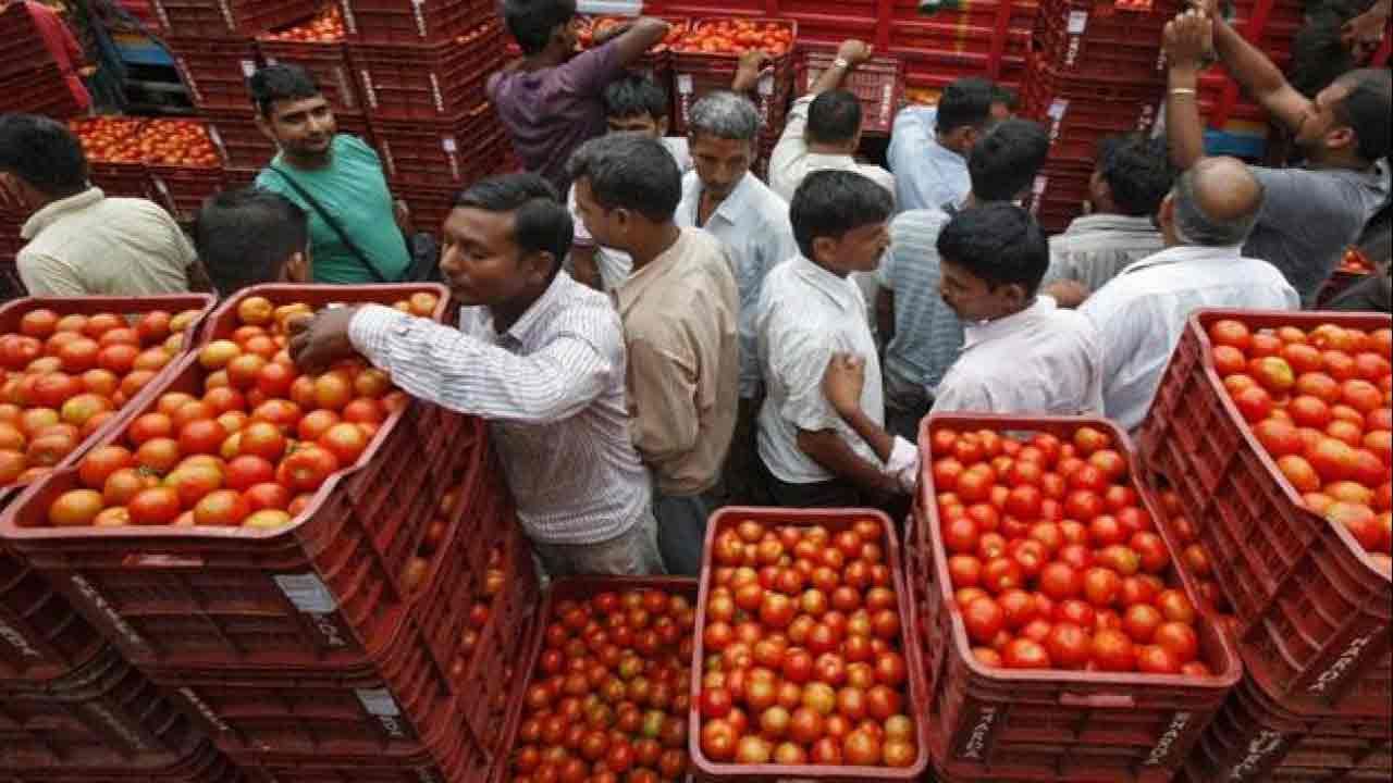 Tomato Price: అకస్మాత్తుగా పడిపోయిన టమాటా ధరలు.. రైతులు ఆక్రోశం.. సామాన్యుడికి సంతోషం..