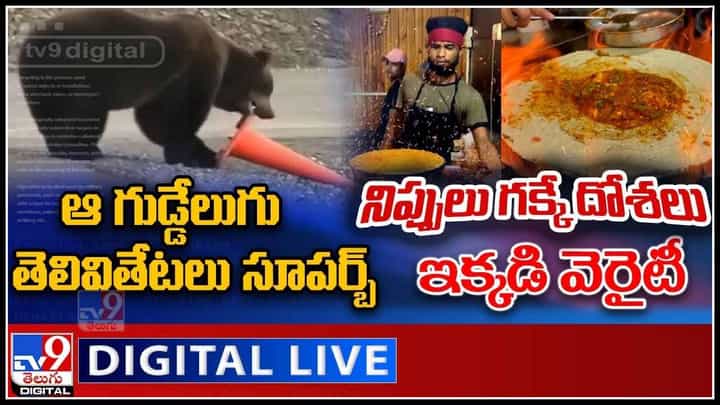 TV9 Digital News Round Up : ఆ గుడ్డేలుగు తెలివితేటలు సూపర్బ్ || నిప్పులు గక్కే దోశలు ఇక్కడి వెరైటీ..(వీడియో) TV9 Digital News Round Up : ఆ గుడ్డేలుగు తెలివితేటలు సూపర్బ్ || నిప్పులు గక్కే దోశలు ఇక్కడి వెరైటీ..(వీడియో)