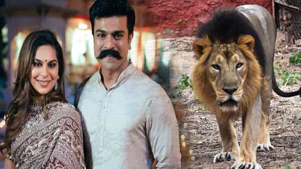 Upasana Kamineni Konidela: రెండు సింహాలను దత్తత తీసుకున్న రామ్ చరణ్ సతీమణి ఉపాసన..