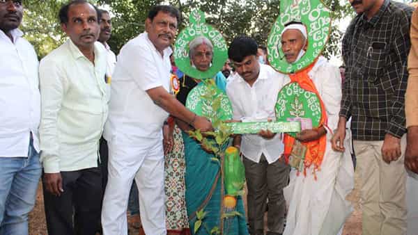 2022 New Year: మొక్కలు నాటిన వనజీవి రామయ్య.. కొత్త ఏడాదికి మొక్కలు నాటి స్వాగతం పలకాలని పిలుపు