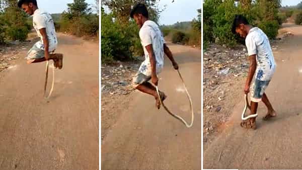 Viral Video: పామును రెండు చేతులతో పట్టుకుని స్కిప్పింగ్.. సోషల్ మీడియాలో షాక్కు గురి చేస్తున్న వీడియో