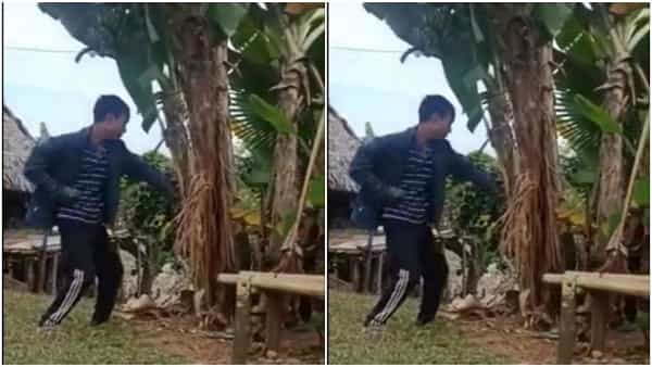 Viral Video: మద్యం భలే గమ్మత్తైంది.. అరటి చెట్టుతో ఫైట్ అదిరిపోయింది..! వీడియో చూస్తే నవ్వు ఆపుకోలేరు..