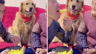 Digital TOP 9 NEWS: ప్రమాదమా ?? ప్రత్యర్థుల పనా ??  వీడియో