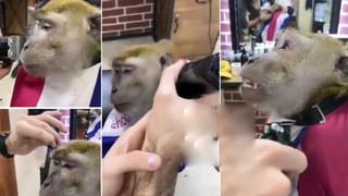 Viral Video: రన్‌వేపై విమానాన్ని నెడుతున్న జనం.. వీడియో చూసి పొట్ట చక్కలయ్యేలా నవ్వుకుంటున్న నెటిజన్లు..