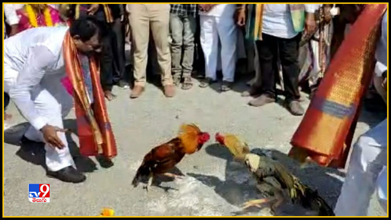 మాచర్ల, గురజాల రాజ్యాలకు బదులుగా ఆయా నియోజకవర్గ ప్రజాప్రతినిధులు హాజరవుతారు. మాచర్ల నుండి ఎమ్మెల్యే పిన్నెల్లి రామకృష్ణారెడ్డి హాజరుకాగా గురజాల నుండి ఎమ్మెల్సీ జంగా. కృష్ణ మూర్తి విచ్చేశారు.