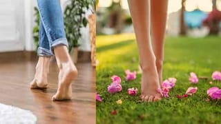 Natulal Tips: కిడ్నీలు ఆరోగ్యంగా ఉండాలంటే ముల్లంగి ఆకులు, మొక్కజొన్న పీచు సహజ ఔషధాలు.. ఎలా ఉపయోగించాలంటే..