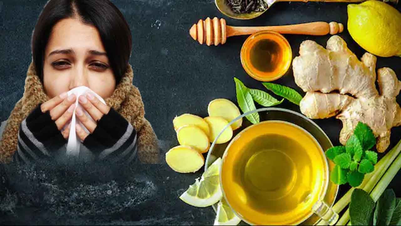 Winter Health Tips: చలికాలపు ఆరోగ్య చిట్కాలు.. జలుబు, ఫ్లూ నిరోధించడానికి అద్భుతమైన ఐదు చిట్కాలు..!