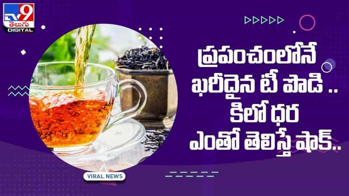 ప్రపంచంలోనే ఖరీదైన టీ పొడి !! కిలో ధర ఎంతో తెలిస్తే షాక్ !! వీడియో ప్రపంచంలోనే ఖరీదైన టీ పొడి !! కిలో ధర ఎంతో తెలిస్తే షాక్ !! వీడియో