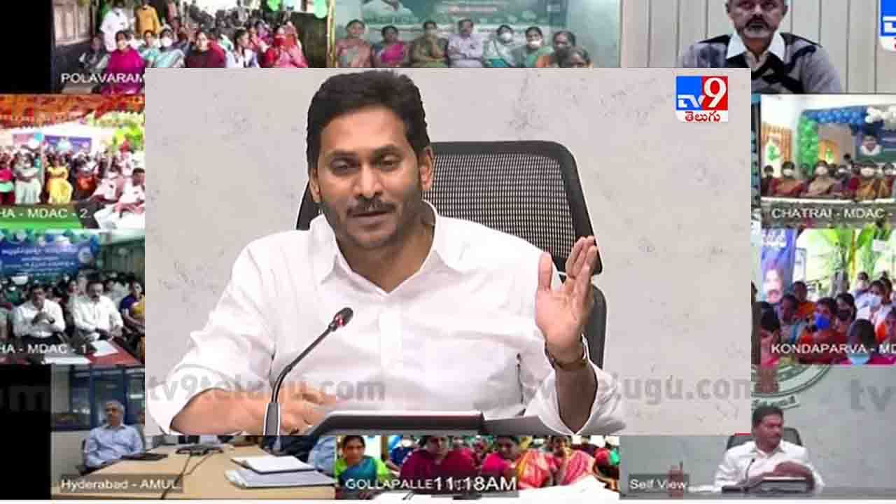 Jagananna Palavelluva: పాలు పోసే రైతులే అమూల్ సంస్థ ఓనర్లు..  జగనన్న పాలవెల్లువ ప్రారంభోత్సవంలో ఏపీ సీఎం జగన్