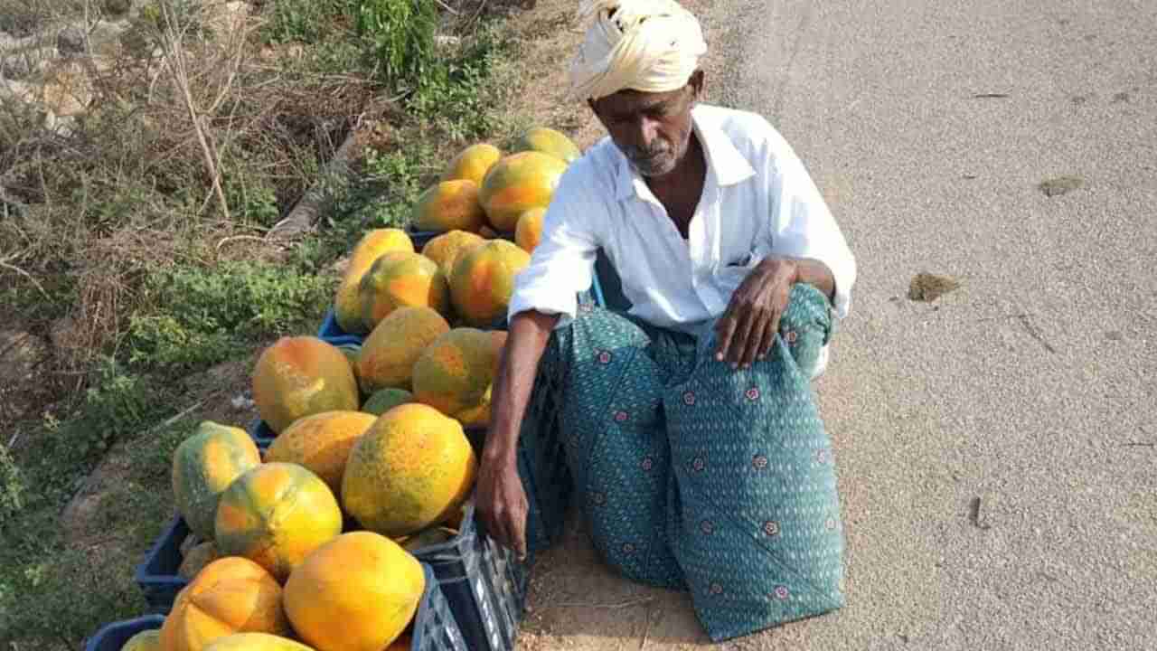 ఫ్రీగా బొప్పాయిలు ఇవ్వలేదని రైతును బస్సు ఎక్కించుకోని డ్రైవర్.. చివరకు ఆ రైతు ఏం చేశాడంటే..