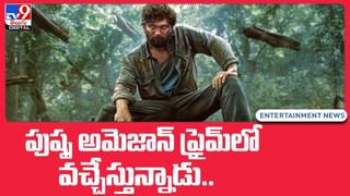 ఏపీలో సినిమా టికెట్ల ధరలు తగ్గినా ప్రాబ్లమ్ లేదు.. నాగార్జున ఆసక్తికర కామెంట్స్(Video)