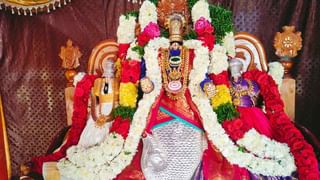 Worshiping Trees: ఈ చెట్లలో దేవతలు నివసిస్తారట.. అందుకే పూజిస్తారట..? ఆ చెట్లు ఏంటంటే..