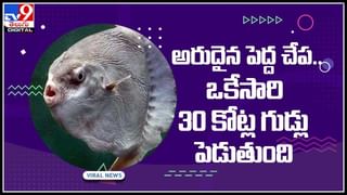 ఓటరు, ఆధార్ కార్డ్ లింక్ వల్ల ప్రయోజనం ఏమిటి ?? వీడియో