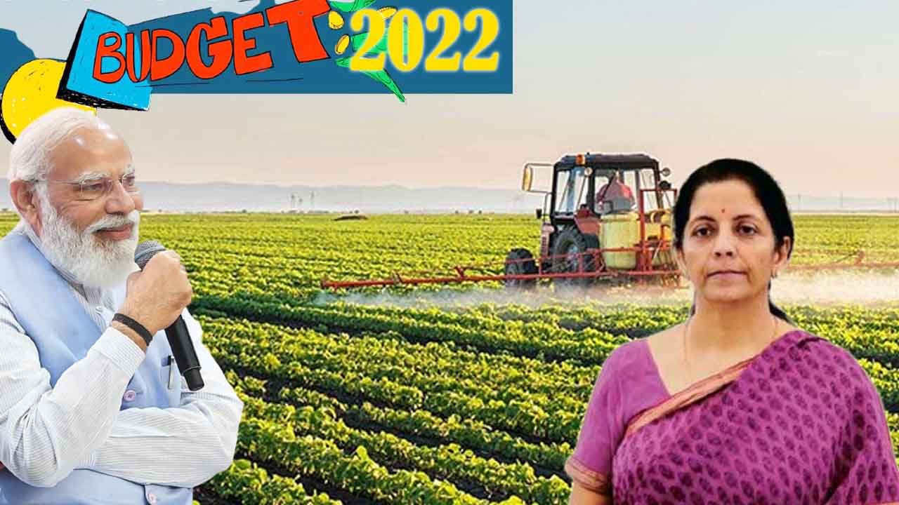 Budget 2022: ప్రస్తుతం వ్యసాయరంగంలో ఎరువులపై సబ్సిడీ ఎంత ఇస్తున్నారు? ఉద్యానవన పంటలపై ప్రభుత్వ విధానం ఎలా ఉంది?