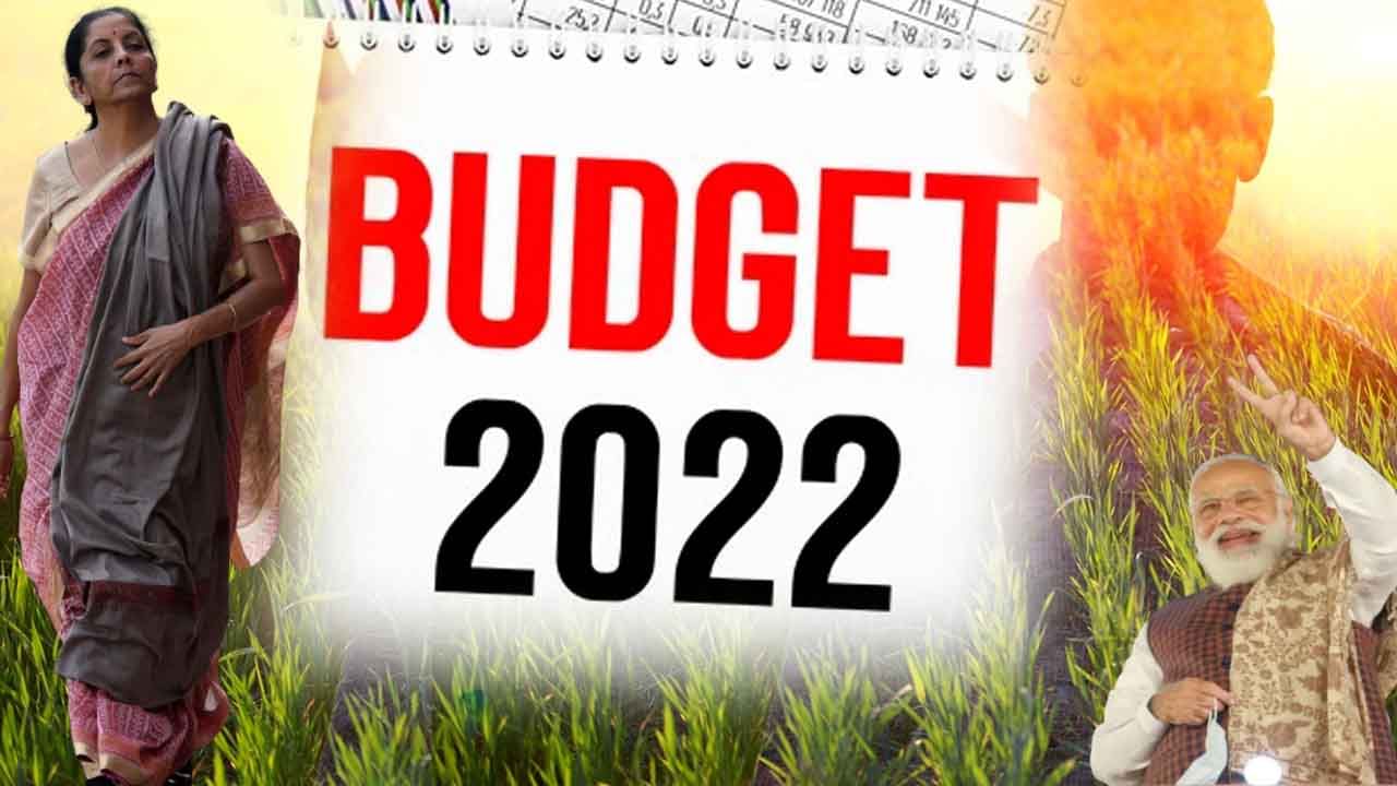 Budget 2022: బడ్జెట్ ప్రతిపాదనల నుంచి వ్యవసాయ రంగం ఏం ఆశిస్తోంది.. నిపుణుల సూచనలు ఏమిటి?