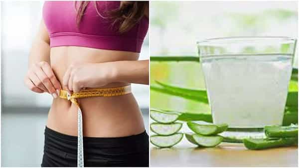 Weight Loss Tips: వేగంగా బరువు తగ్గాలనుకుంటున్నారా..? కలబందను ఇలా ఐదు పద్దతుల్లో తీసుకోండి..