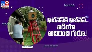 Viral Video: పోట్ల గిత్తలా మనిషిపైకి దూసుకొచ్చిన కోడి పుంజు !! షాకింగ్ వీడియో